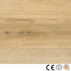 WPC Floor 1201