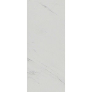 SPC Floor DLS003