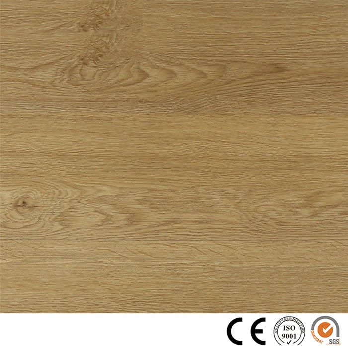 SPC Floor 19019-3 Featured Image