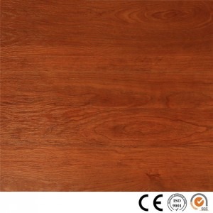 SPC Floor 1906
