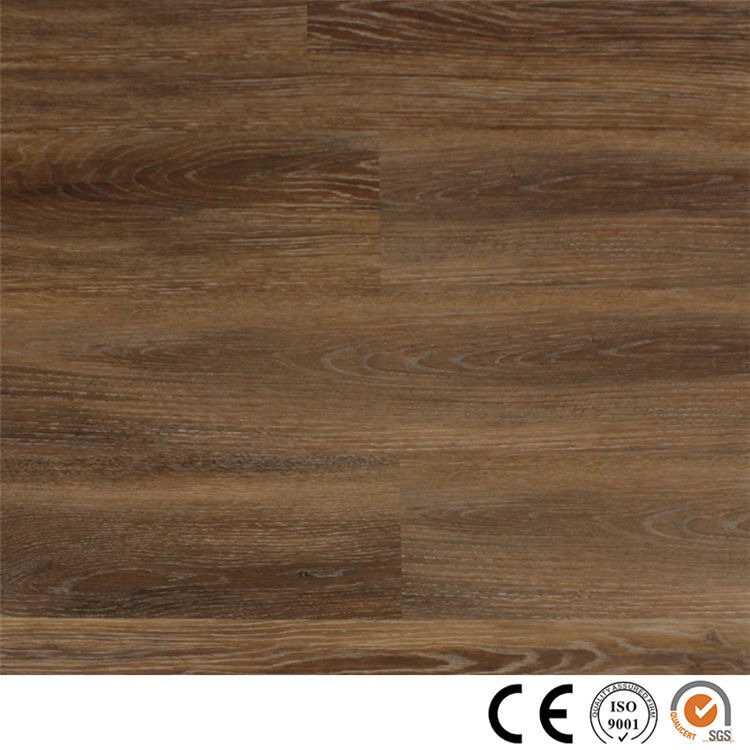 SPC Floor 207 Featured Image