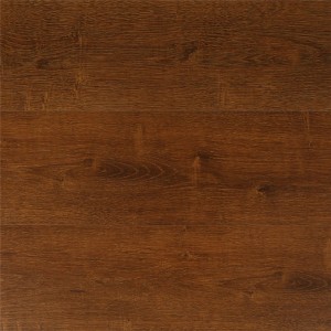SPC Floor 1913