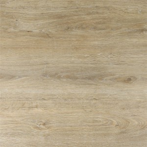 SPC Floor 1903