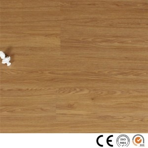 SPC Floor 501
