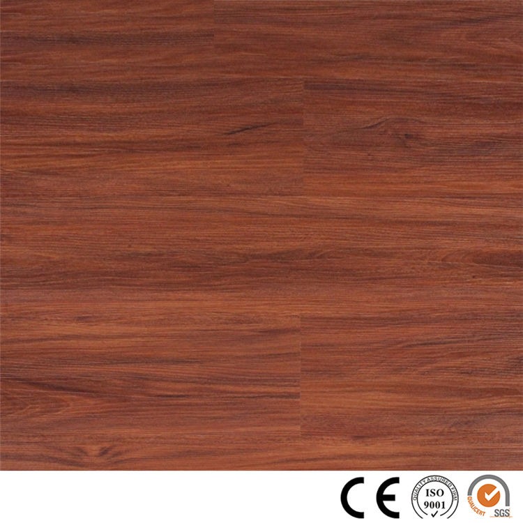 SPC Floor 503 Featured Image