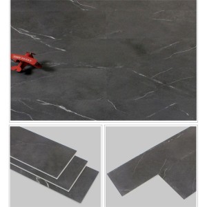 SPC Floor DLS005