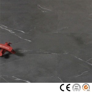 SPC Floor DLS005